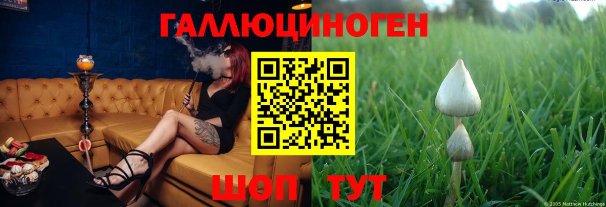 Артём  Галлюциногенные грибы прущие грибы  Вход с VPN 